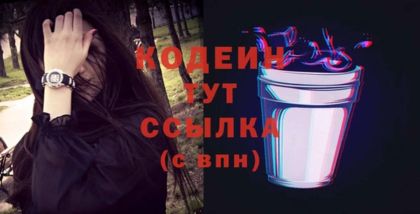 мет Няндома