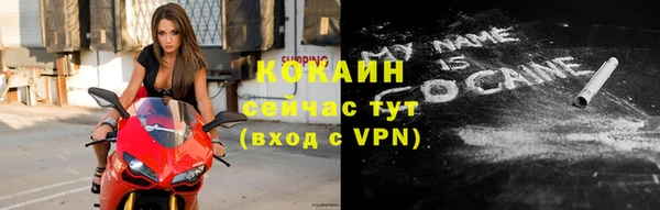 мет Няндома