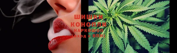 мет Няндома