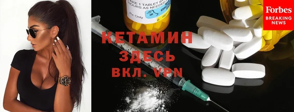мет Няндома