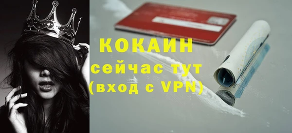 сатива Нягань
