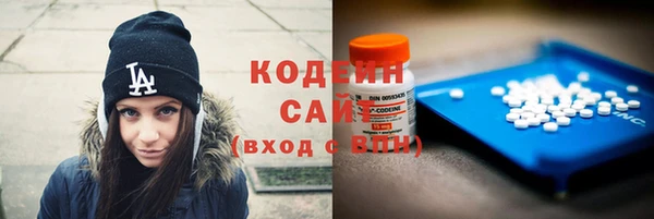 мет Няндома